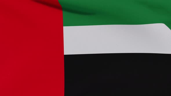 Flag of the United Arab Emirates Patriotism National Freedom Seamless Loop