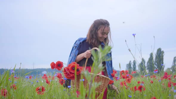 Front View of Pretty Girl Walking in Poppy Field Gathering Flowers in the Wicker Basket. Connection