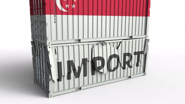Container with Flag of Singapore Breaking Container with IMPORT Text