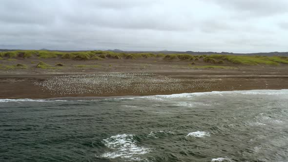 Waves Crashing In Reykjanes Black Sand Beach - aerial shot