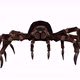4K Spider Walk - VideoHive Item for Sale