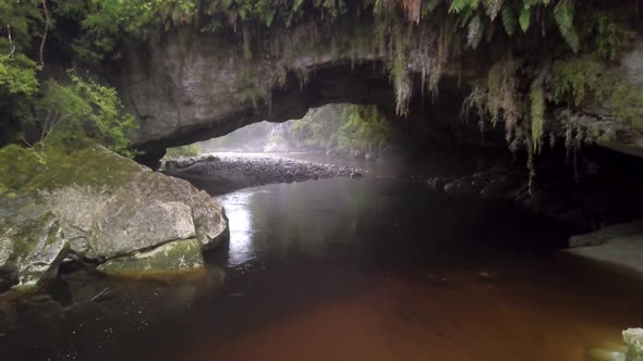 Archway in rainforest