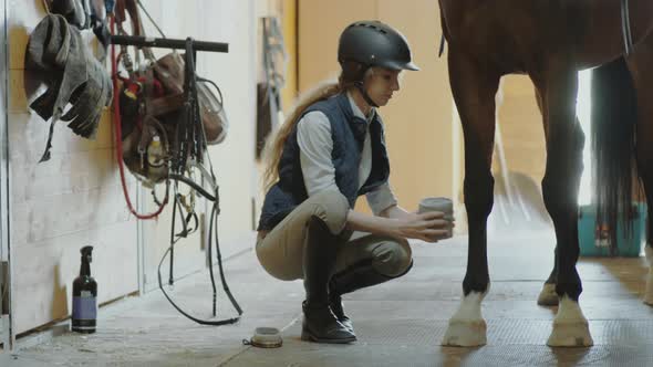 Woman Wrapping Horse Legs in Stable