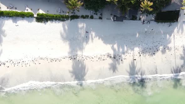 Vertical Video Boats in the Ocean Near the Coast of Zanzibar Tanzania Aerial View