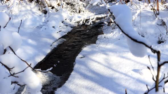 Forest Stream Flows in Nature Against the Background of Thawed Snow