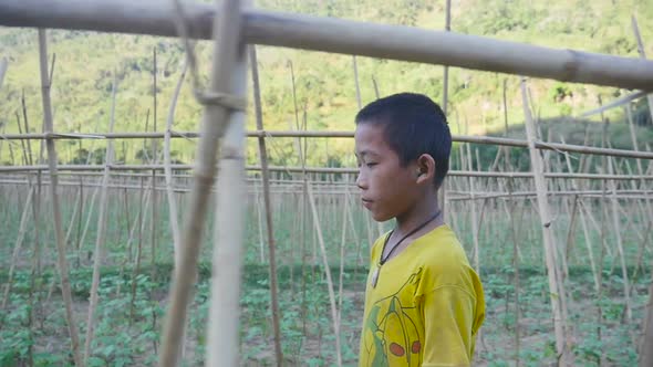 Poverty Boy Walking In Vegetables Garden alt