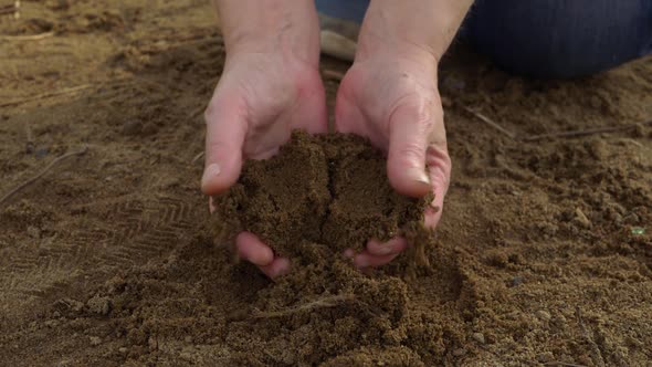 Hands holding golden sand at beach front close up shot