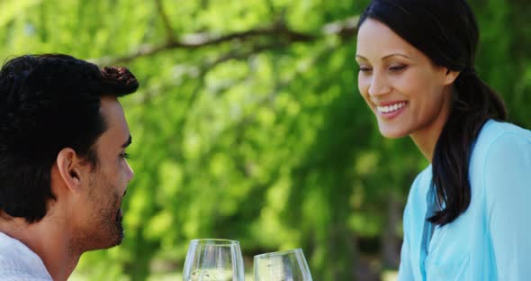 Couple toasting glasses of red wine in the park