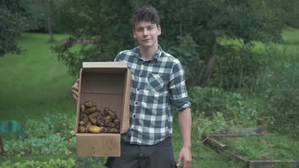 Young male gardener proudly holding box of harvested organic potatoes