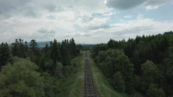 FPV Drone Flies Rapidly Along the Railroad Tracks Surrounded By Pine Forest