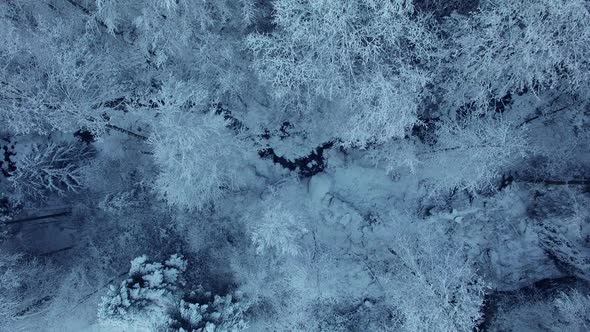 Romantic Winter Wonderland Cold Snowing Christmas Season alt