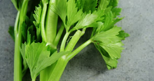 Coriander on concrete