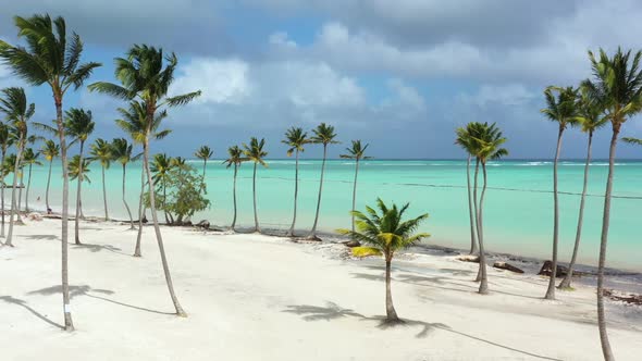 Juanillo Beach with Palm Trees White Sand and Turquoise Caribbean Sea