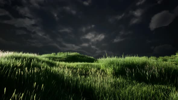 Storm Clouds Above Meadow with Green Grass