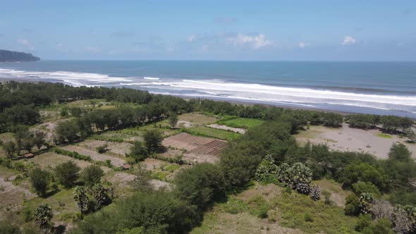 Aerial view of people holiday in parangtritis beach, Indonesia