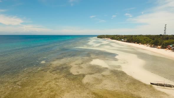 Tropical Beach and Turquoise Sea Philippines,Bohol