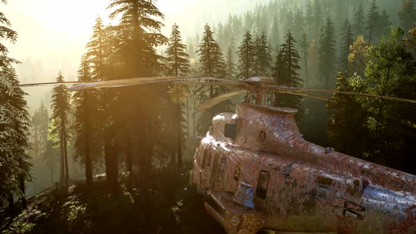 Old Rusted Military Helicopter in the Mountain Forest at Sunrise