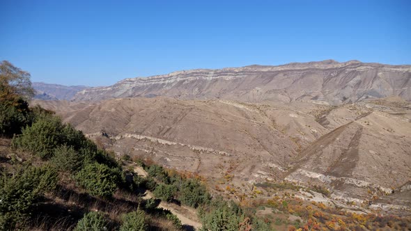 Yellow Red Trees on the Slopes of the Mountains Under the Clear Blue Sky