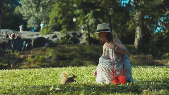 Attractive girl with a squirrel on the lawn in the park