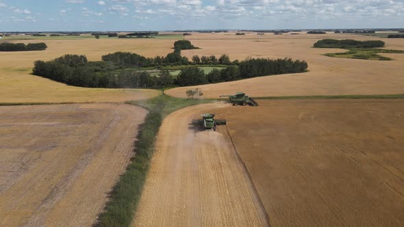 Two combine harvesters turning the corner on a large crop of golden wheat on a rural farm. High angl