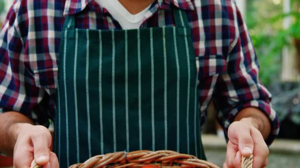 Man holding a basket of freshly harvested tomatoes