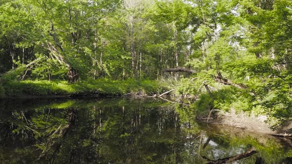 Slowly gliding over river deep within lush green vegetation