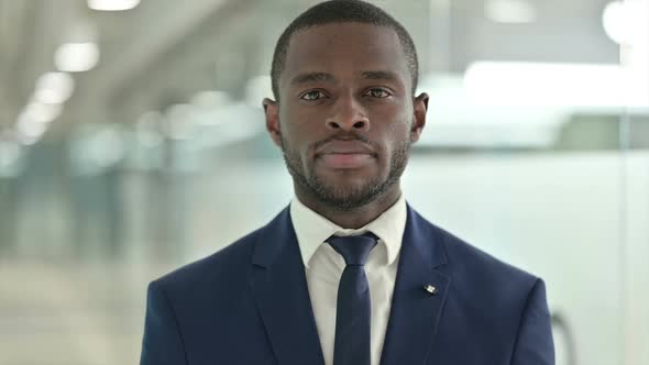 Portrait of African Businessman Looking at the Camera