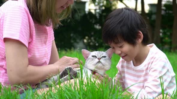 Asian Mother And Her Son Playing With Scottish Cat In The Park Outdoor