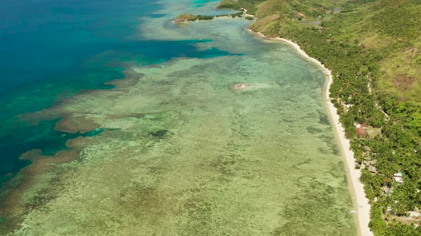 Tropical Island with Blue Lagoon