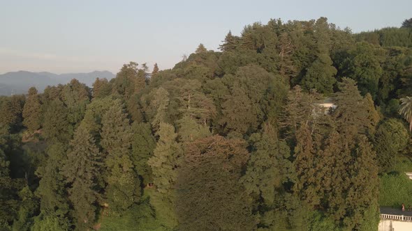 Aerial view of Green cape and Botanical garden of Batumi at sunset. Georgia 2021