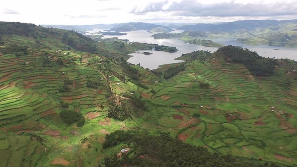 Aerial view of highlands with crops and lake Bunyonyi