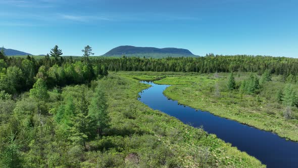 River meandering through lush green wilderness toward mountain