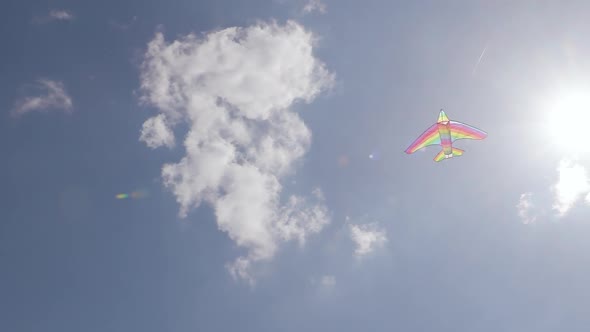 Kite Flying in the Windy Sunny Summer Sky in Slow Motion