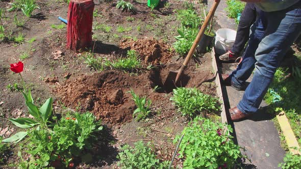 The Father Loosens the Earth with a Shovel the Son Holds a Tree Sapling