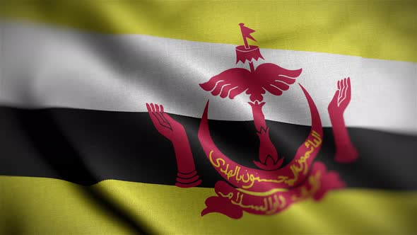 Brunei Flag Angle