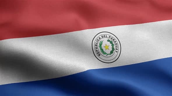 Paraguay Flag Seamless Closeup Waving Animation