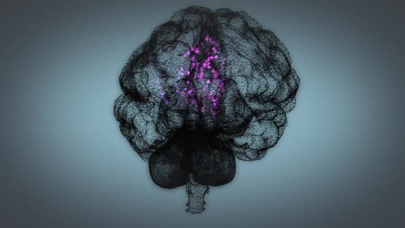 Colorful binary digits representing biochemical processes in the human brain.