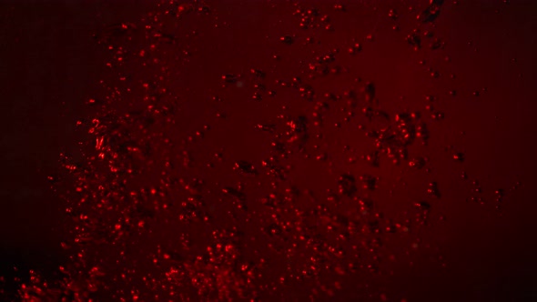 Super Slow Motion Shot of Red Wine Bubble Background at 1000Fps