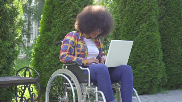 African American Woman with an Afro Hairstyle Disabled in a Wheelchair Uses a Laptop Sunflare in