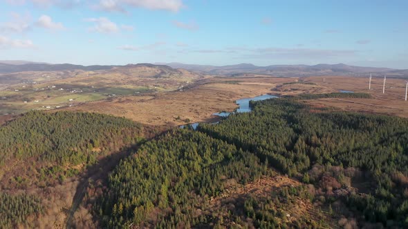 The Reforestation Continues at Bonny Glen in County Donegal  Ireland