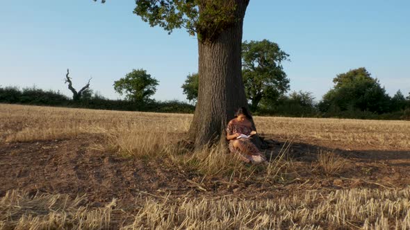 Wide shot of a young woman leaning up against a tree and reading in the setting sun.