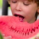 Funny Curly Boy Eats Watermelon - VideoHive Item for Sale