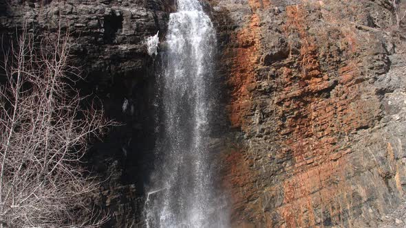 Panning view of waterfall flying past small tree