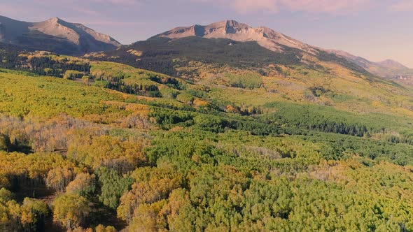 Aspens turning on Kebler Pass, Colorado