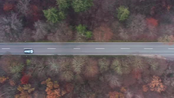 Black car drives fast through a misty forest, fly with shot by a drone.