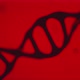 Cinematic realistic black DNA animation on light red background - VideoHive Item for Sale