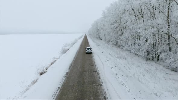 The white car in the winter