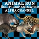 Animal Run Pack 5Clip - VideoHive Item for Sale