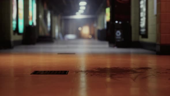 Empty Train Station During the Covid19 Pandemic alt