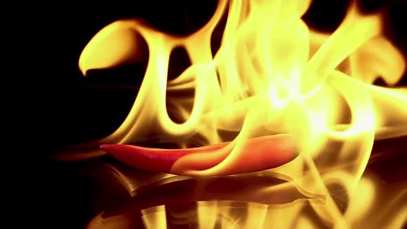 Hot Red Chili Pepper in Flames